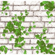 Wallpaper Paper Saratov F289-02 Vine 0.53x10m