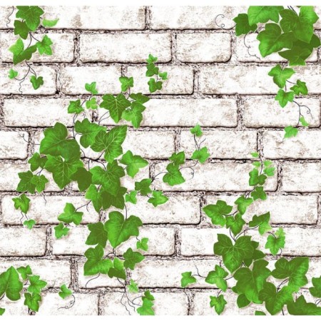 Wallpaper Paper Saratov F289-02 Vine 0.53x10m