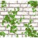 Wallpaper Paper Saratov F289-02 Vine 0.53x10m