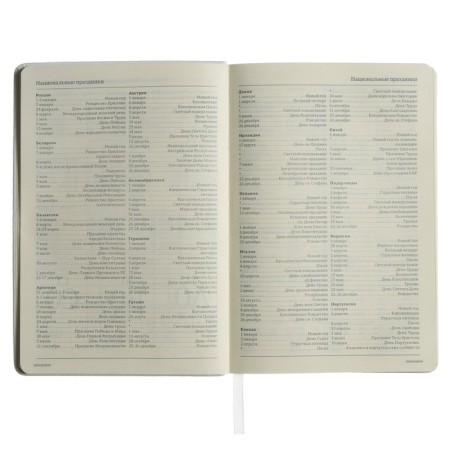 Diary of Leduced A5, 160 sheets MEGAPOLIS VELVET, solid cover, artificial leather, lies, on an elastic band, tinted block 70 g/m2, white-10