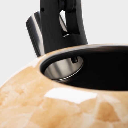 A kettle with a stainless steel whistle "Scottish", 2.8 liters-2