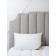 Ehclusive Line Elegia pillow, size 50x70 cm