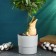 Irrigation for indoor and garden flowers "Congol" Kungur ceramics, 0.2l, 19cm, green