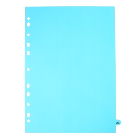 A4 sheets division (245 x 305 mm), color, alphabetical A-I, 20 sheets, "Devente. Pastel" polypropylene 140 microns, individual packaging-5