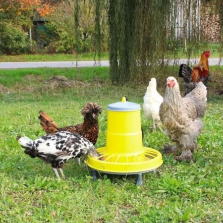 Bunker feeder for poultry for 15.5 kg, on legs, plastic, compacta-6