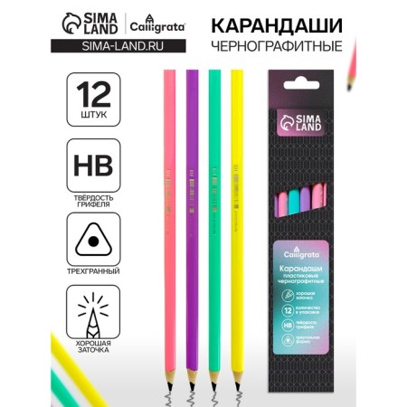 A set of pencils of blackographic 12 pieces, Calligrata Pastel, sharpened, plastic, trihedral, mix