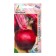 Fortune beets "Fortune" 2g* ks