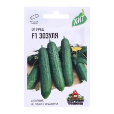 Seeds of the cucumber 