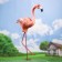 Garden figure "Flamingo" Small 36x13x75cm