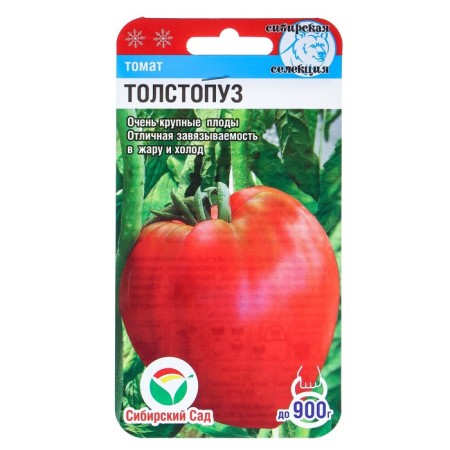 Seed Tomat "Tolstopus", 20 pcs