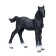 Figure Konik "Hanoverian foal, black"