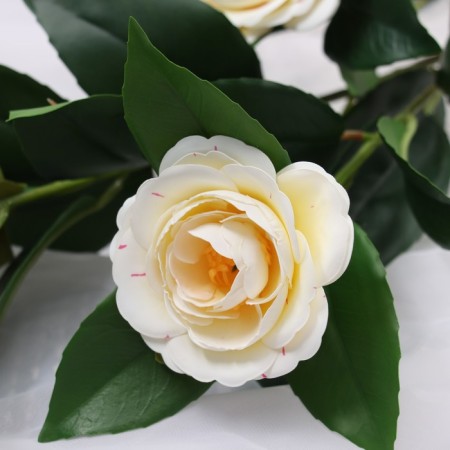 Flowers artificial "Camellia" 85 cm, white-1