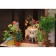 Interior designer Hobby Day Miniose "Coffee House", Rumbox