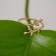 Ring "Branches" trend, color gold, dimensionless