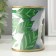Growing grass "Ficus"