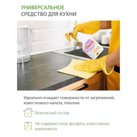 Bio-spray for the kitchen Orion "Anti-Zhir", 500 ml-2