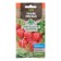 Seeds Radi early, red, 3 g