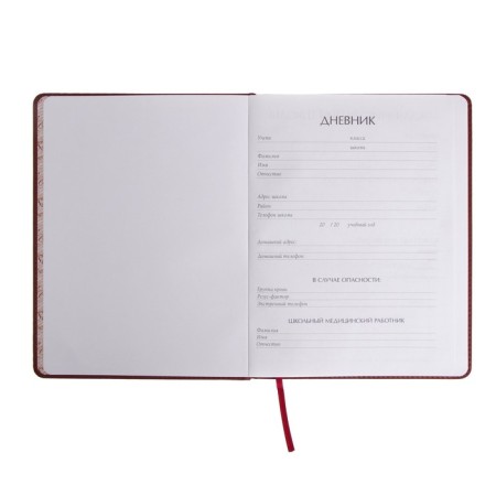 Universal diary for grades 1-11, 48 Velvet sheets, hard cover, artificial leather, thermoting, liesse, block 70 g/m2, brown-3