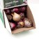 Showbox Hyacinth "Spring Mix" 30cm, r/r 14/15, 60 pcs