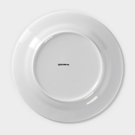 Porcelain dining shade “Tashka”, D = 25.3 cm, white color-5