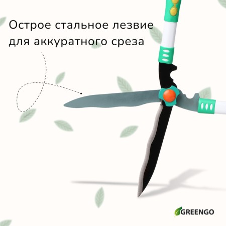 Kustorez, 18.8 "(48 cm), with plastic pens, Greengo-4