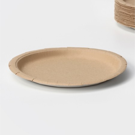 Disposable paper plate "Crafts", D = 23 cm-4