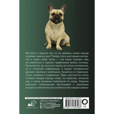 Dogs. Popular illustrated guide-1