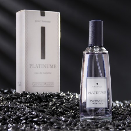 Tuale water Male Gabriel Maison "Platinum", 50 ml