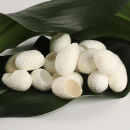 A set of sponges for peeling from mulberry silkworm, 20 pcs, white color-2