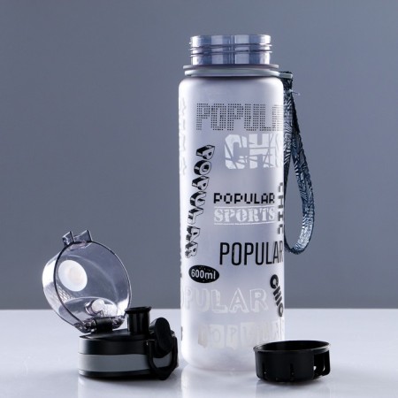 Water bottle, 600 ml, Popular, with a sieve for fruits, 23 x 6 cm, gray-5