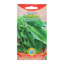 Seeds Spring 