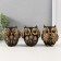Souvenir Polystone "Owl with Dream Capers" Set 3 pcs 5.5x8.5x10 cm