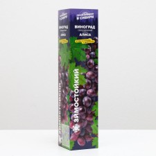 Alice grape seedling, spring 2024, 1 pc.