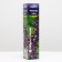Alice grape seedling, spring 2024, 1 pc.