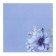 Block with a sticky edge paper 75x75 mm, Erichkrause "Pastel Bloom", 50 sheets, blue