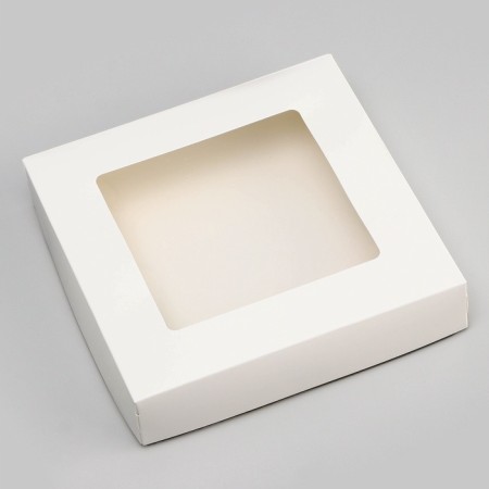Container for removal, with a window, white, 20 x 20 x 4 cm-2
