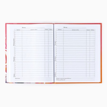 School diary for grade 1-11, in a solid cover, 40 l. "Anime. Girl"-3