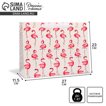 Package Gift Laminated Horizontal, Packaging, Flamingo, ML 27 x 23 x 11.5 cm