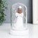 Souvenir Polystone Light "Angel with Flower/Prays" MIX 7x7x11.5 cm