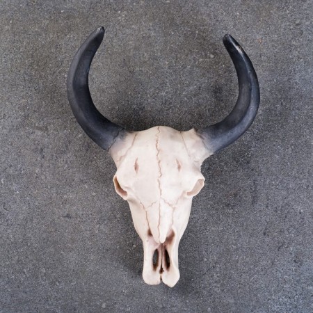 Wall decor "Skull" 26*10*20cm-1