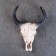Wall decor "Skull" 26*10*20cm