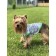 T-shirt with cuffs for dogs "Koala", size 32 (DS 32 cm, OG 39-41 cm), cotton 1