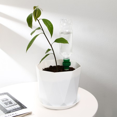 Auto -polyove for indoor plants, under a bottle, set 2 pcs., Greengo-11