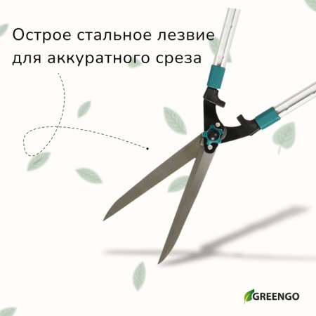 Kustorez, 31–44.5 "(79–113 cm), telescopic, with metal handles, Greengo-4