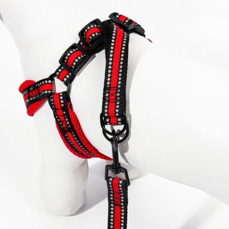 The ammunition set is soft, reflective, leash 120 x 2 cm, Osh 25-72 cm, red-5