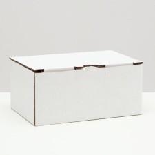 Penal box, white, 22 x 15 x 10 cm