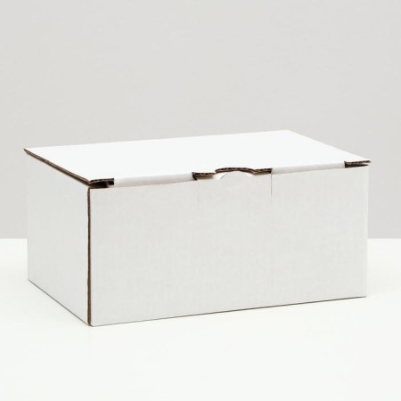 Penal box, white, 22 x 15 x 10 cm