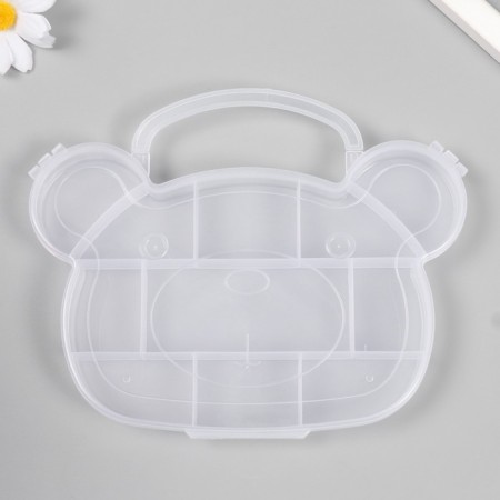 Casket Plastic for the little things "Bag" transparent 11 compartments 18.8x15x1.8 cm