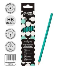 Chernographic pencil (simple) Hb, calligrata, sharpened, plastic, hexagonal, green