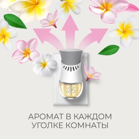 AirWick flavores have a set, with a replaceable bottle "Blooming Cherry", 19 ml-3